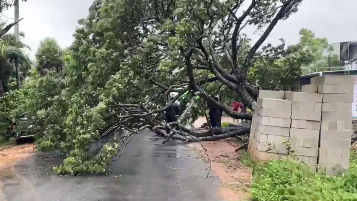 Featured Image Featured Image