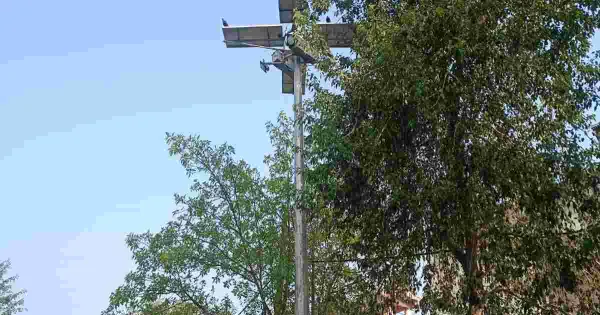 Featured Image Featured Image