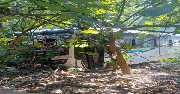 Featured Image Featured Image