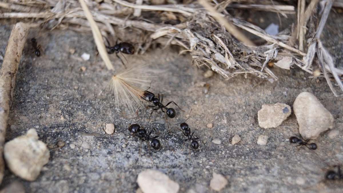 Featured Image Featured Image