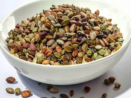 सर्दियों