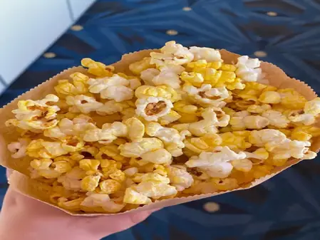 सर्दियों