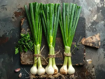 सर्दियों