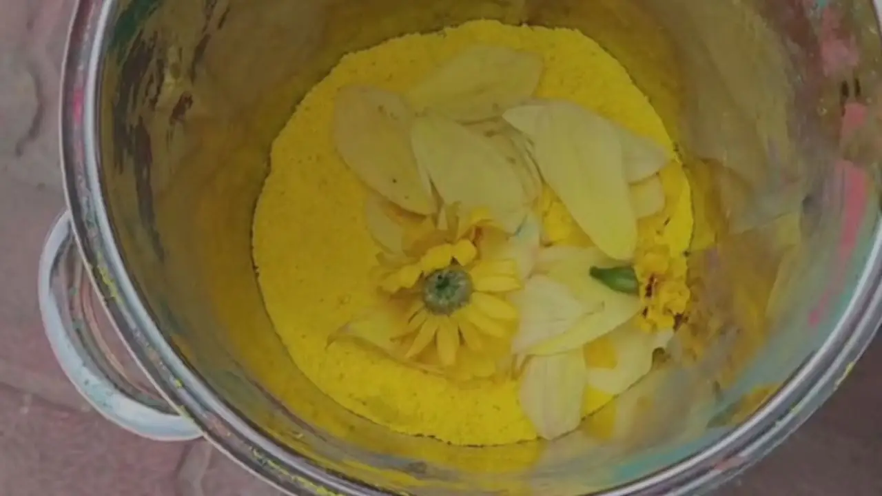 होली 2026: चुकंदर-पत्ता गोभी से हर्बल गुलाल, खेलें और हलवा भी खाएं