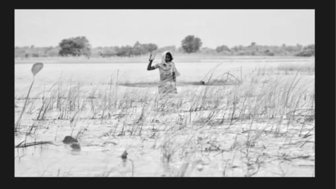 पटना फोटो प्रदर्शनी: बिहार बाढ़ पीड़ितों की हिम्मत की कहानी