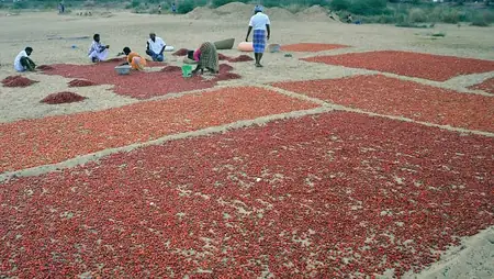 तमिलनाडु