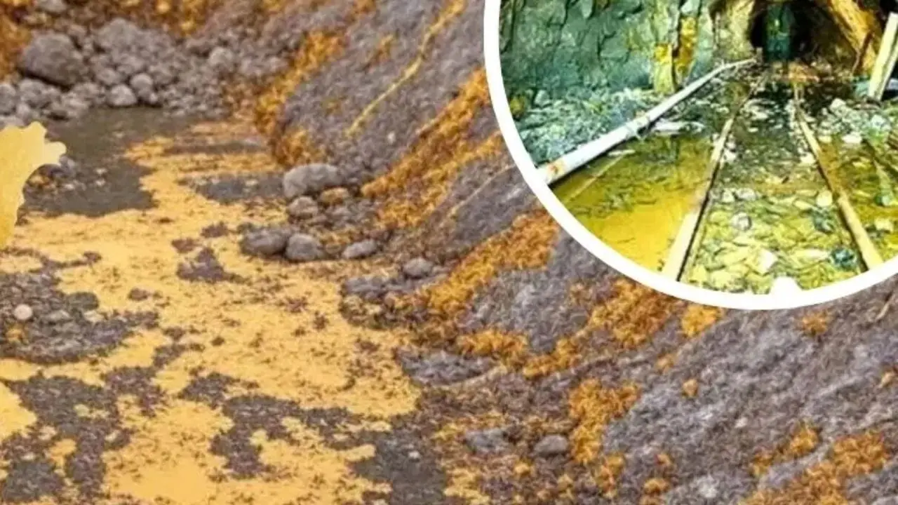 तंजानिया गोल्ड माइन स्कैम: रायपुर व्यापारियों से 2 करोड़ की ठगी, मुंबई एयरपोर्ट से धर दबोचा शातिर