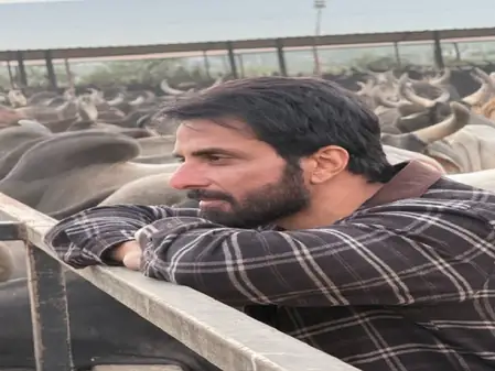 इंडस्ट्री