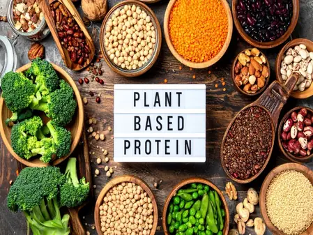 मांसाहारी