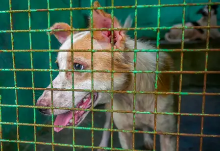 तमिलनाडु