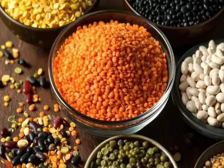 आयुर्वेद