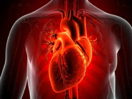 कोलेस्ट्रॉल