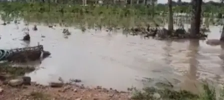 राजस्थान: