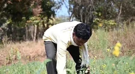 छत्तीसगढ़: