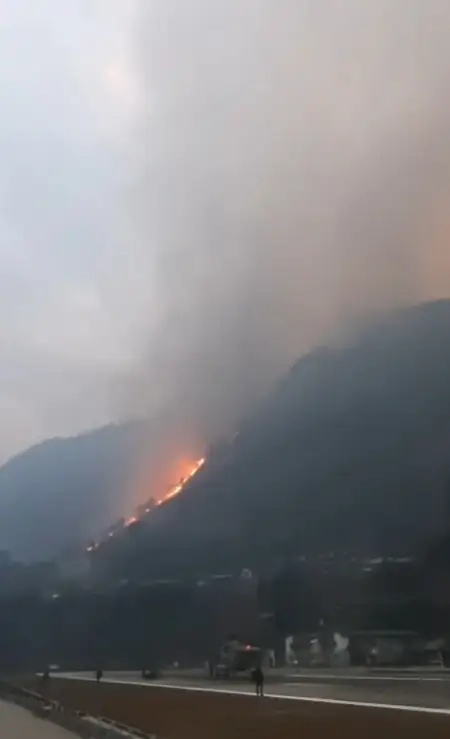 अरुणाचल