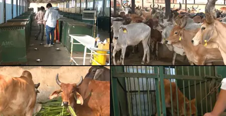 अहमदाबाद