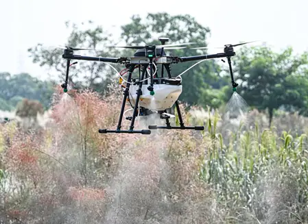 तमिलनाडु: