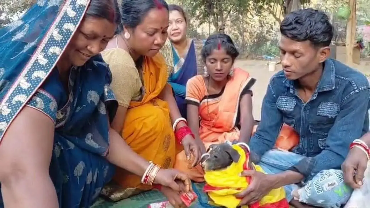 झारखंड में ऊपरी दांत पहले निकलने पर बच्चों की कुतिया से शादी, जानें परंपरा