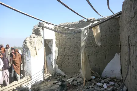 एमनेस्टी